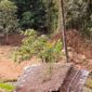 Kondisi Longsor di Kabupaten Cianjur (Dok. BPBD Kab. Cianjur) 