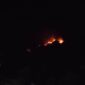 Kebakaran lahan terjadi di area lereng Gunung Jayanti. (Dok. BPBD Kabupaten Sukabumi) 
