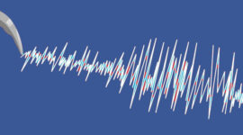 Gempa bumi dengan kekuatan Magnitudo 5,4 yang mengguncang Kabupaten Sukabumi. Jawa Barat. (Dok. Jabarraya.com/M. Rifai Azhari)


