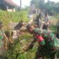 Koramil 1901/Wny bersama Pemerintah Desa Sakambang dan warga melakukan karya bakti pembersihan sampah dan rumput liar pada saluran air,bertempat di Kampung Sakambang RT 02 RW 01 Dusun 01
Desa Sakambang, Kecamatan Wanayasa, Minggu 24/12/2023 (foto : Istimewa)
