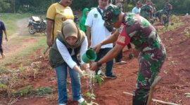 Karya Bakti TNI Kodim 0619/Pwk melakukan penanaman pohon di lahan kritis,berlokasi di Desa Benteng,Campaka,Minggu 24/12/2023 (foto : Istimewa)