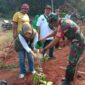 Karya Bakti TNI Kodim 0619/Pwk melakukan penanaman pohon di lahan kritis,berlokasi di Desa Benteng,Campaka,Minggu 24/12/2023 (foto : Istimewa)