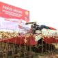 Kementerian Pertahanan dan Kementerian Pertanian panen raya jagung di lahan food estate Cianjur, Jawa Barat, Kamis 14/03/2024. (Dok. Kemhan.go.id)